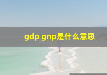 gdp gnp是什么意思